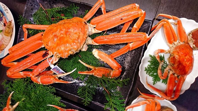cua tuyết matsuba cua tuyết matsuba